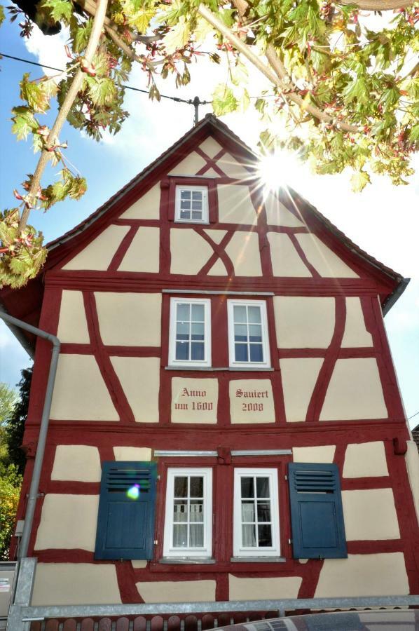 Apartmenthaus Am Zimmerplatz Hofheim am Taunus Eksteriør bilde